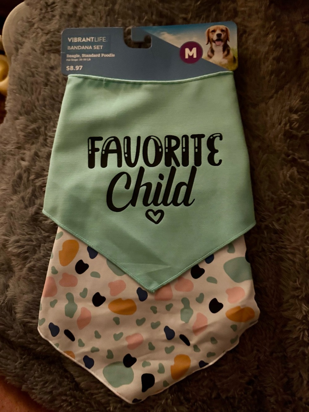 “Favorite Child" dog Bandana Mint & Multi